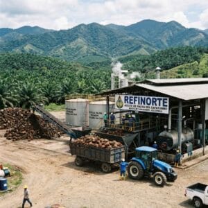 Marketing para empresas Agroindustriales